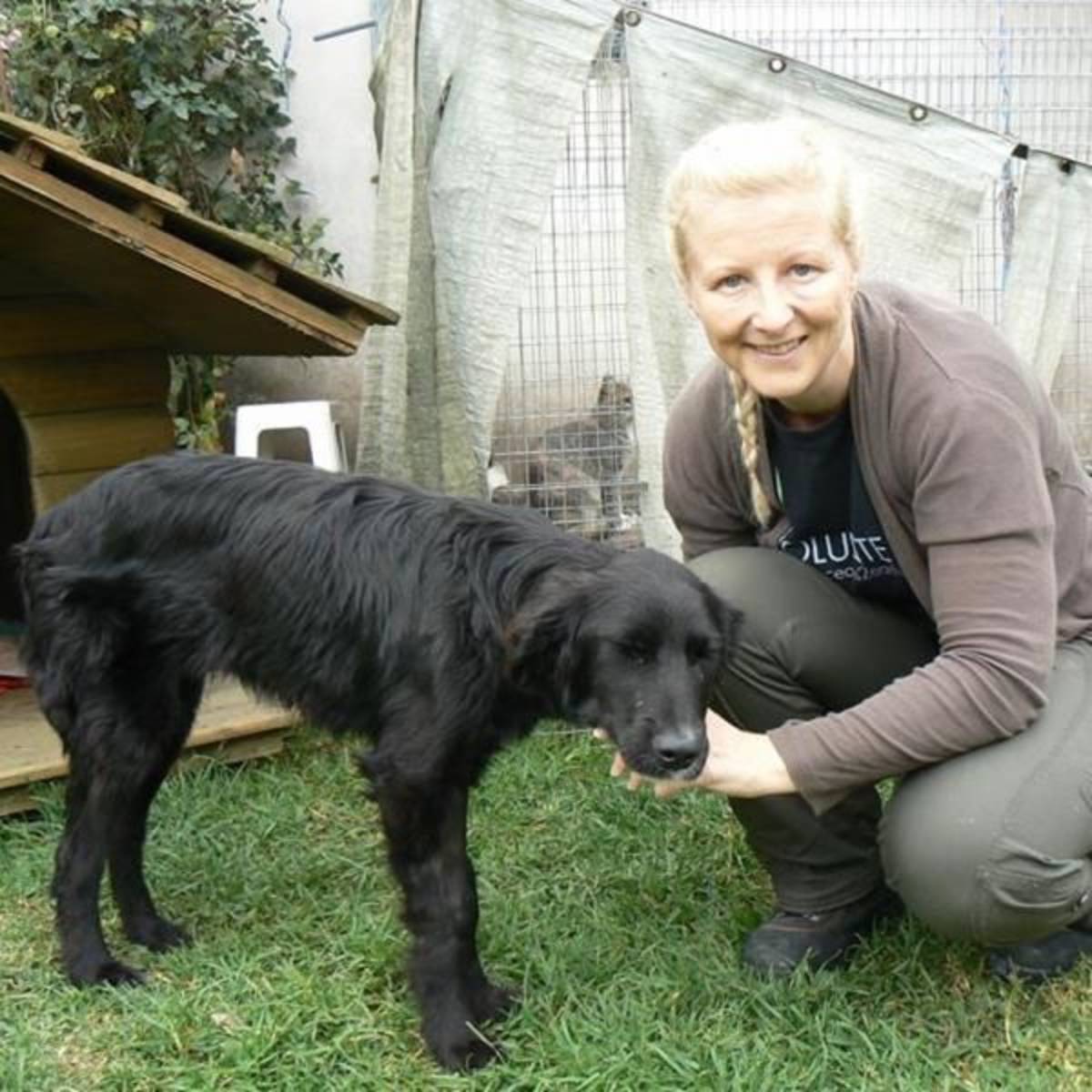 Volunteer in animal conservation