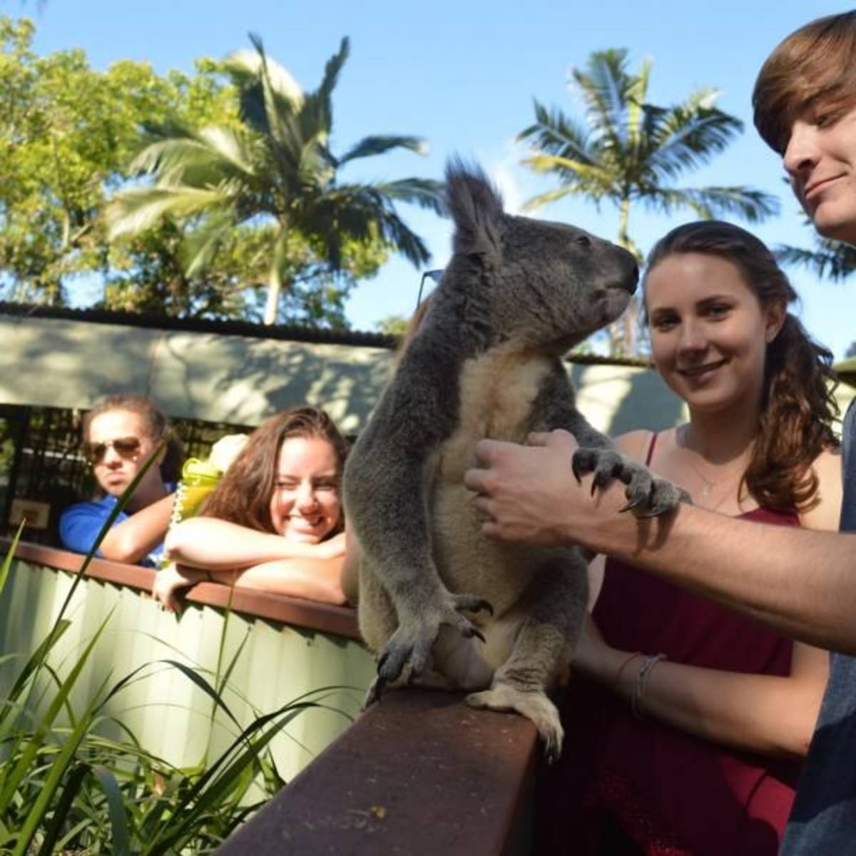 teens holding a koala in australia