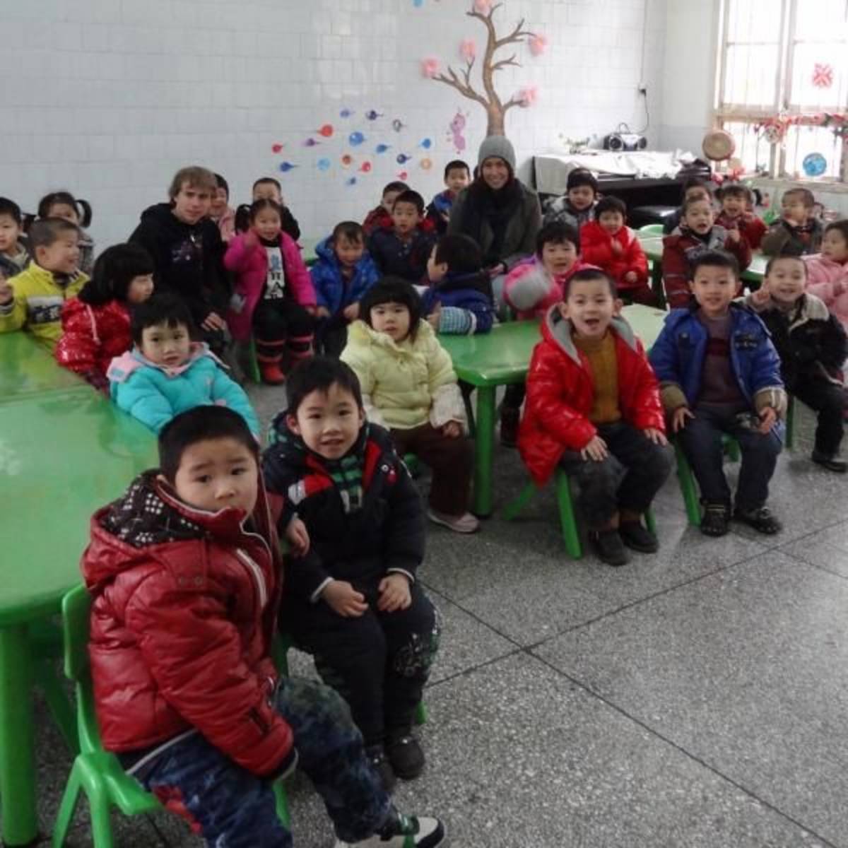 Volunteer in Education