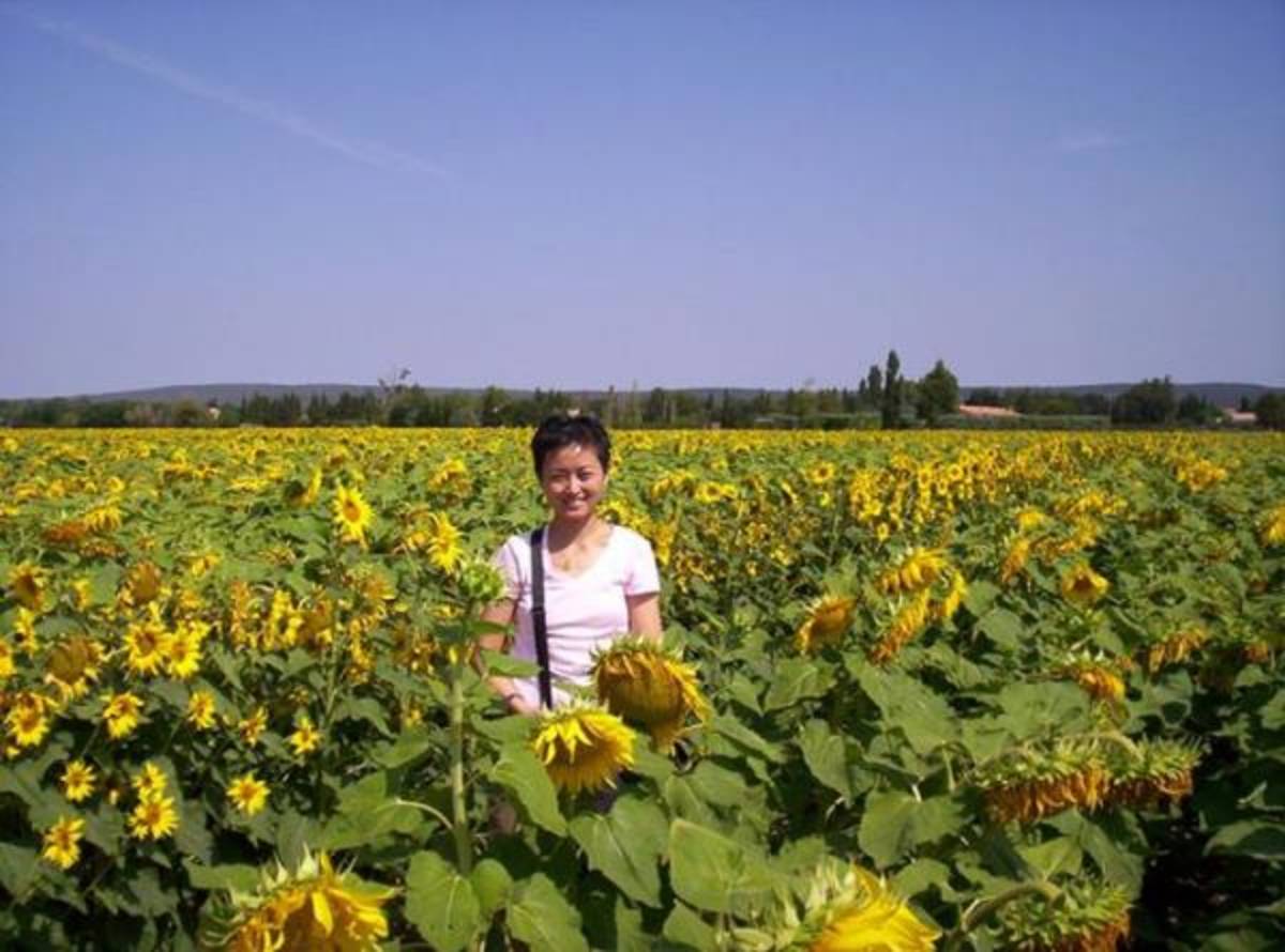 CEA CAPA Education Abroad in Aix-en-Provence, France — photo 9