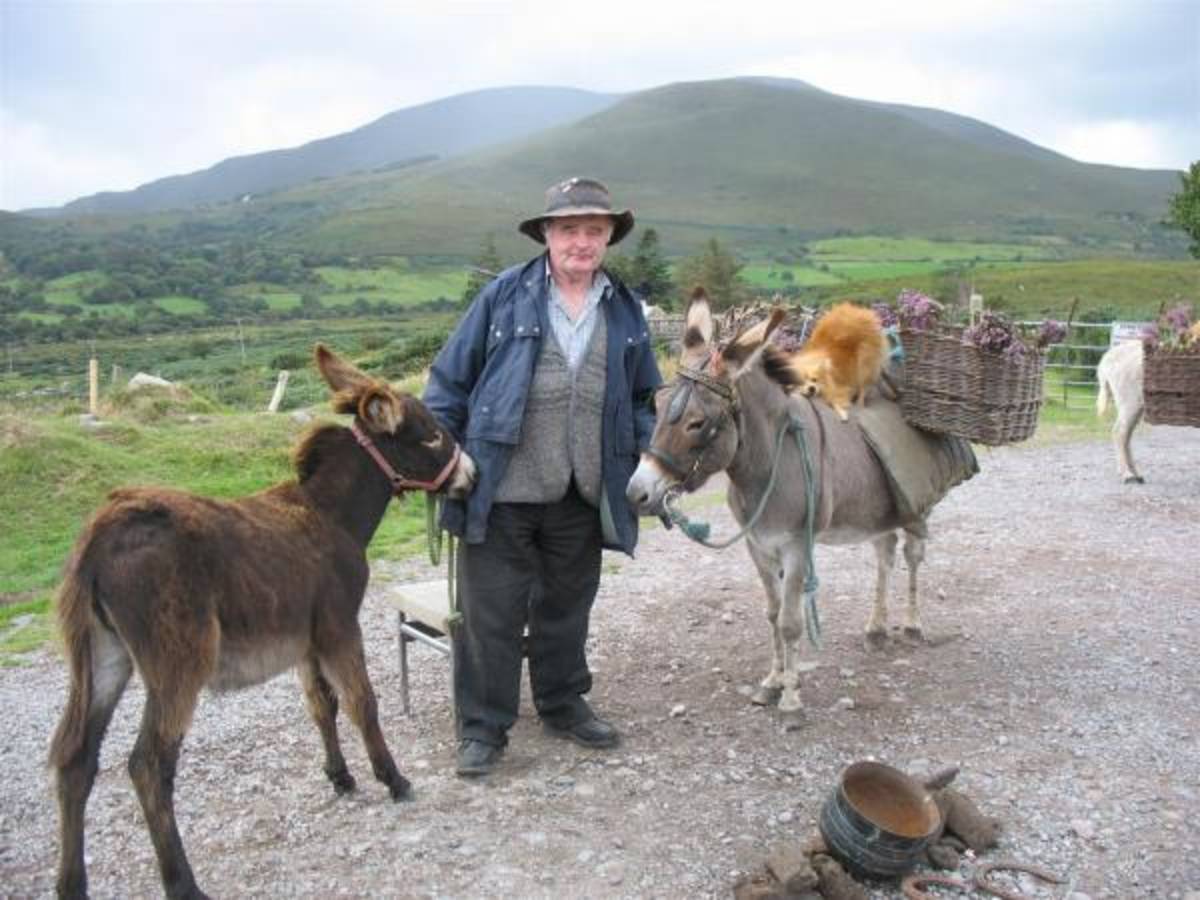Ireland & Scotland: Creative Writing Trip — photo 6