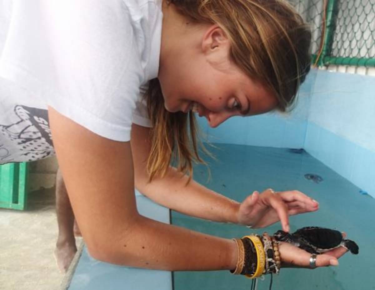 Maldives - Sea Turtle Conservation — photo 1