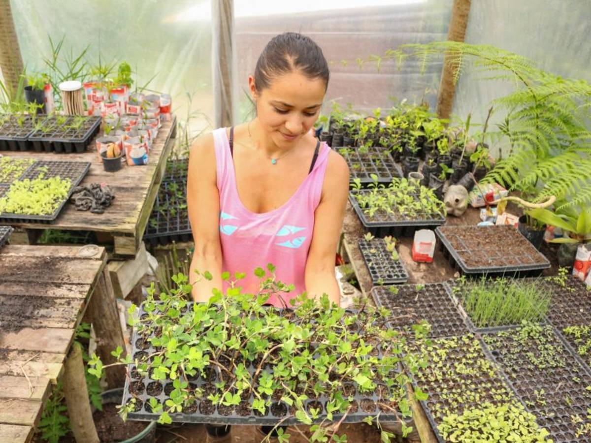 Eco Caminhos