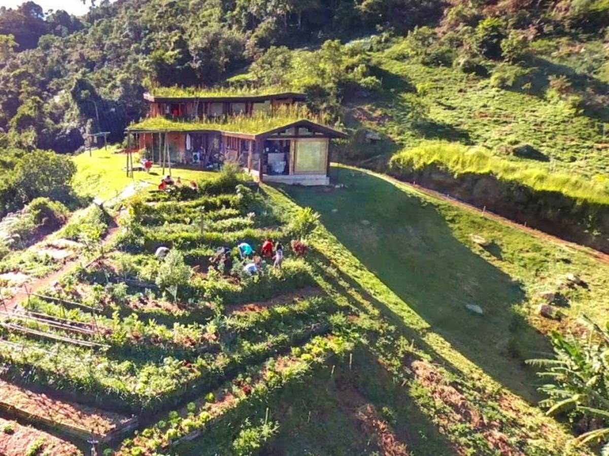 Eco Caminhos