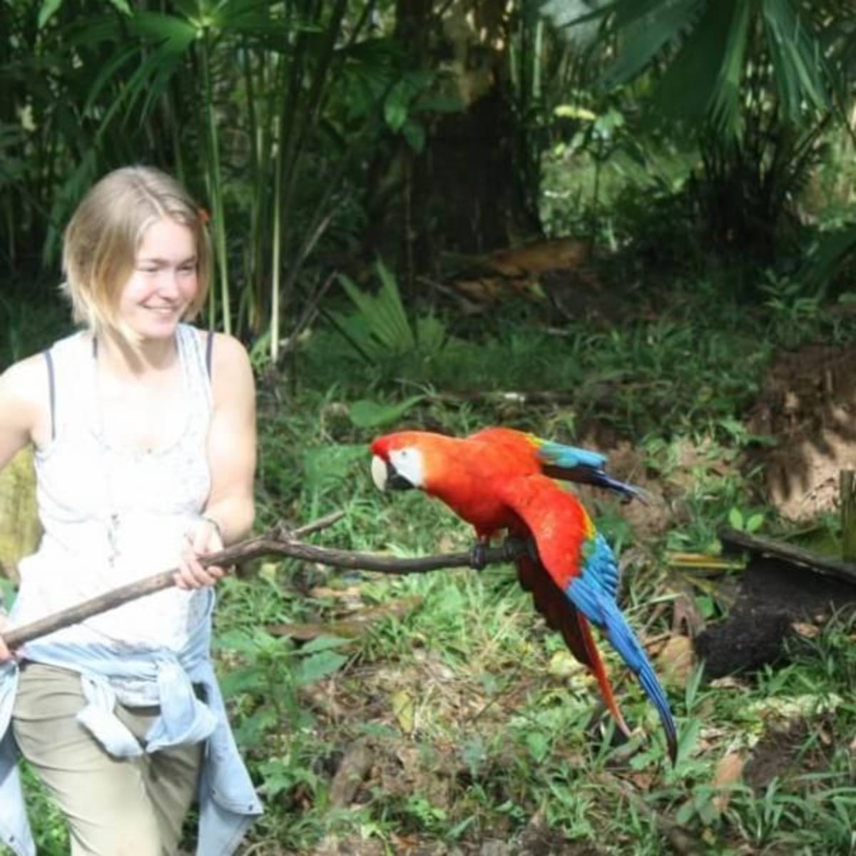 GoEco Ecuador - Rainforest Monkey Sanctuary