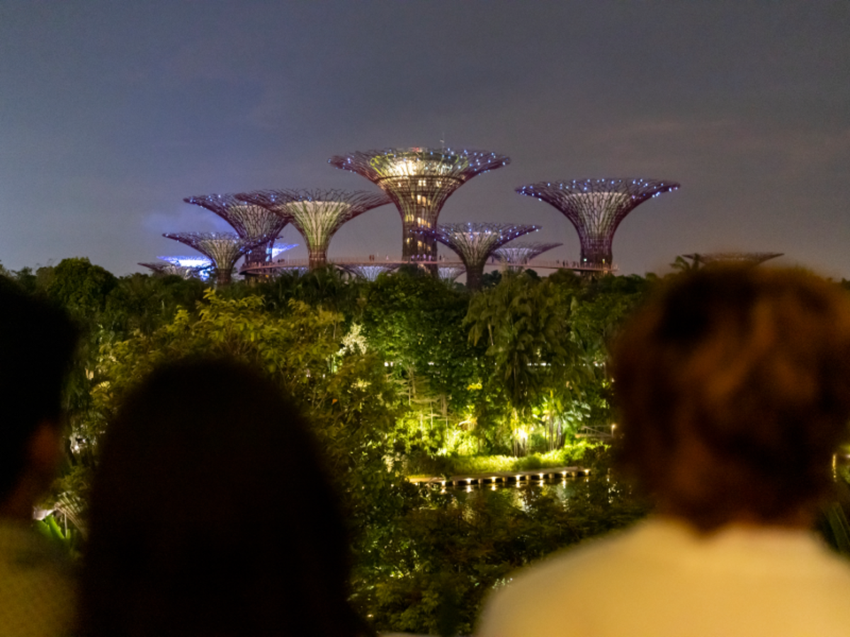 EF students admiring the illuminated Supertree Grove at Gardens by the Bay in Singapore at night.