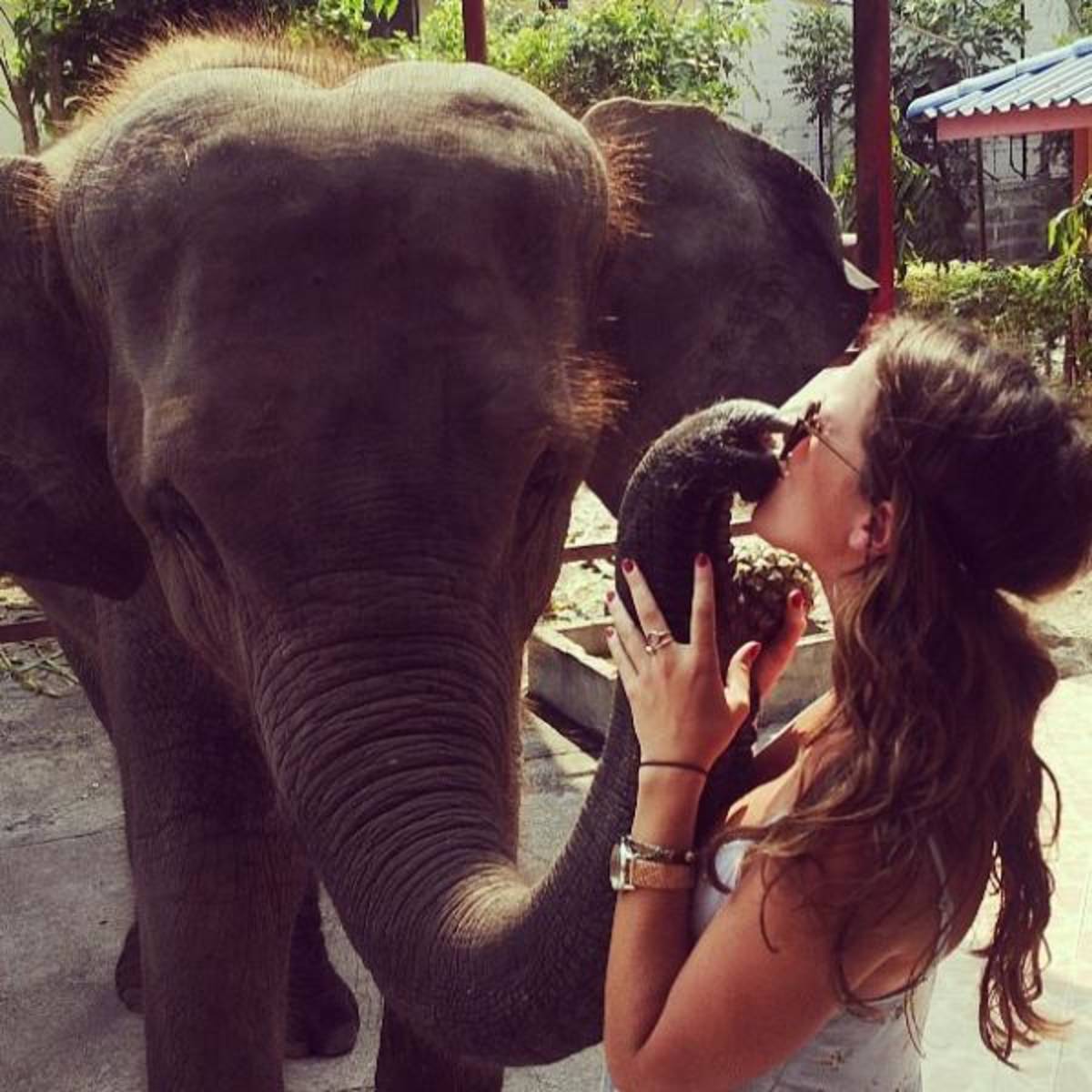 Lindsay visiting the rescued elephant sanctuary during TESOL course in Hua Hin