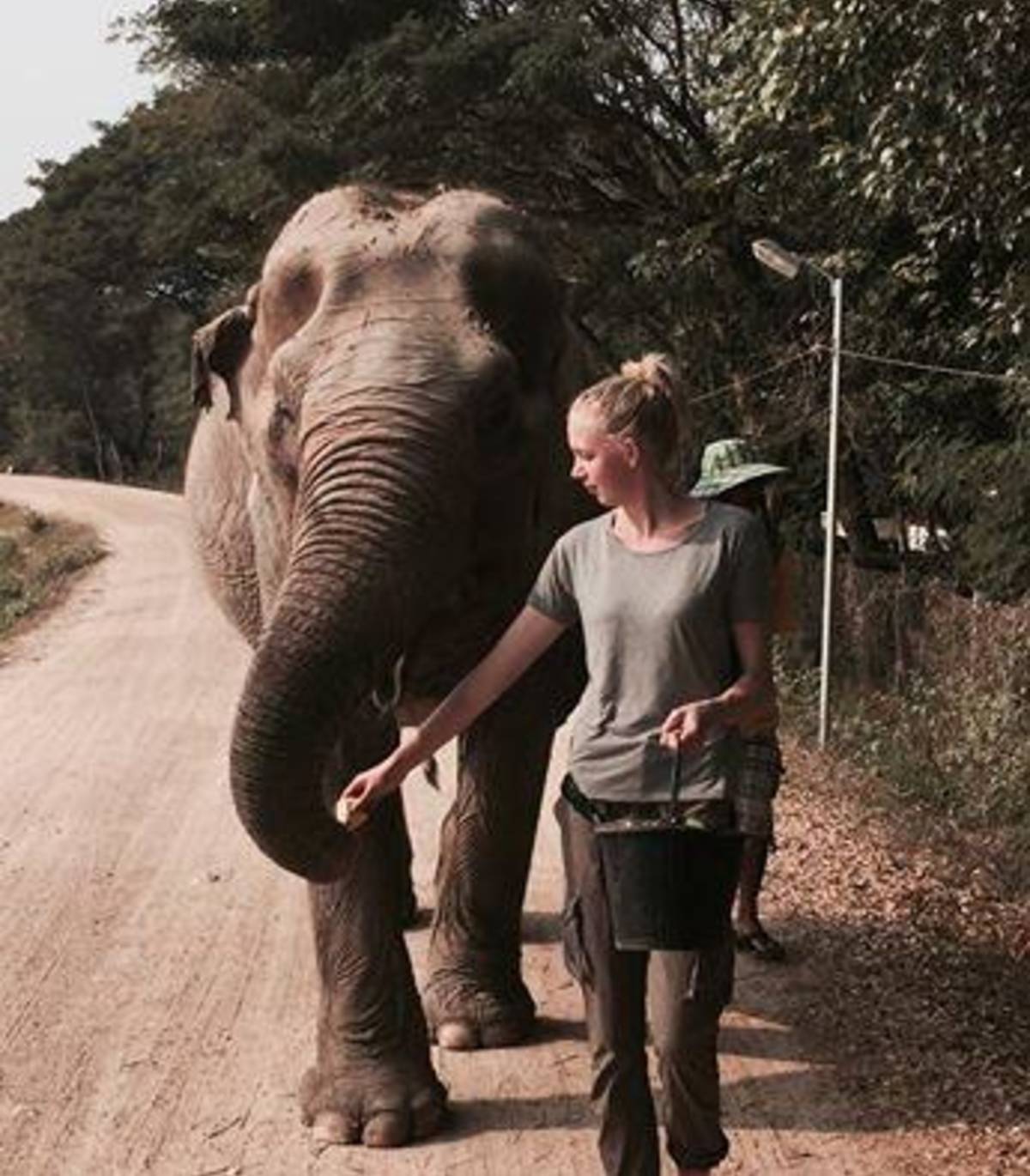 Volunteer with Elephants in Thailand | Oyster Worldwide — photo 3
