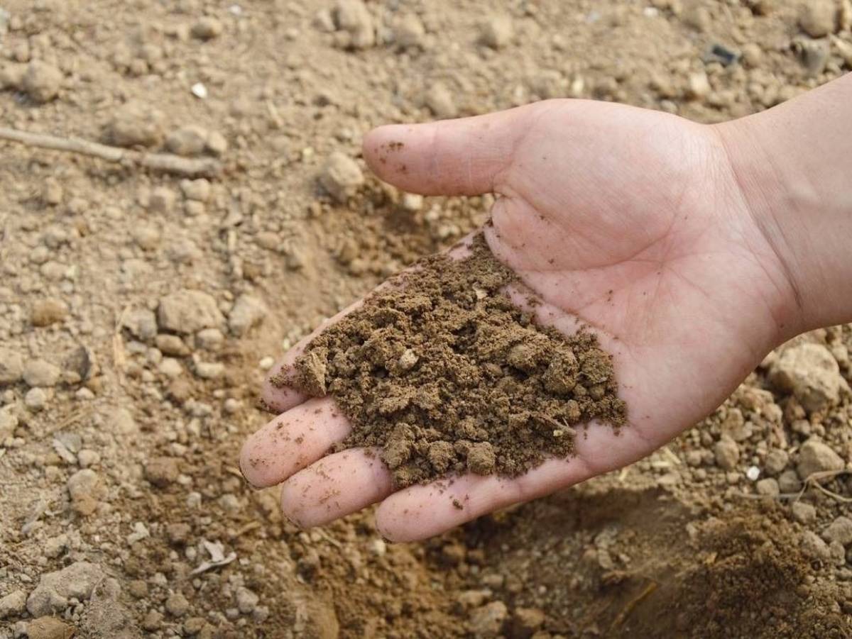 Environmental Impact Assessment & Environmental Engineering in Jaipur, India