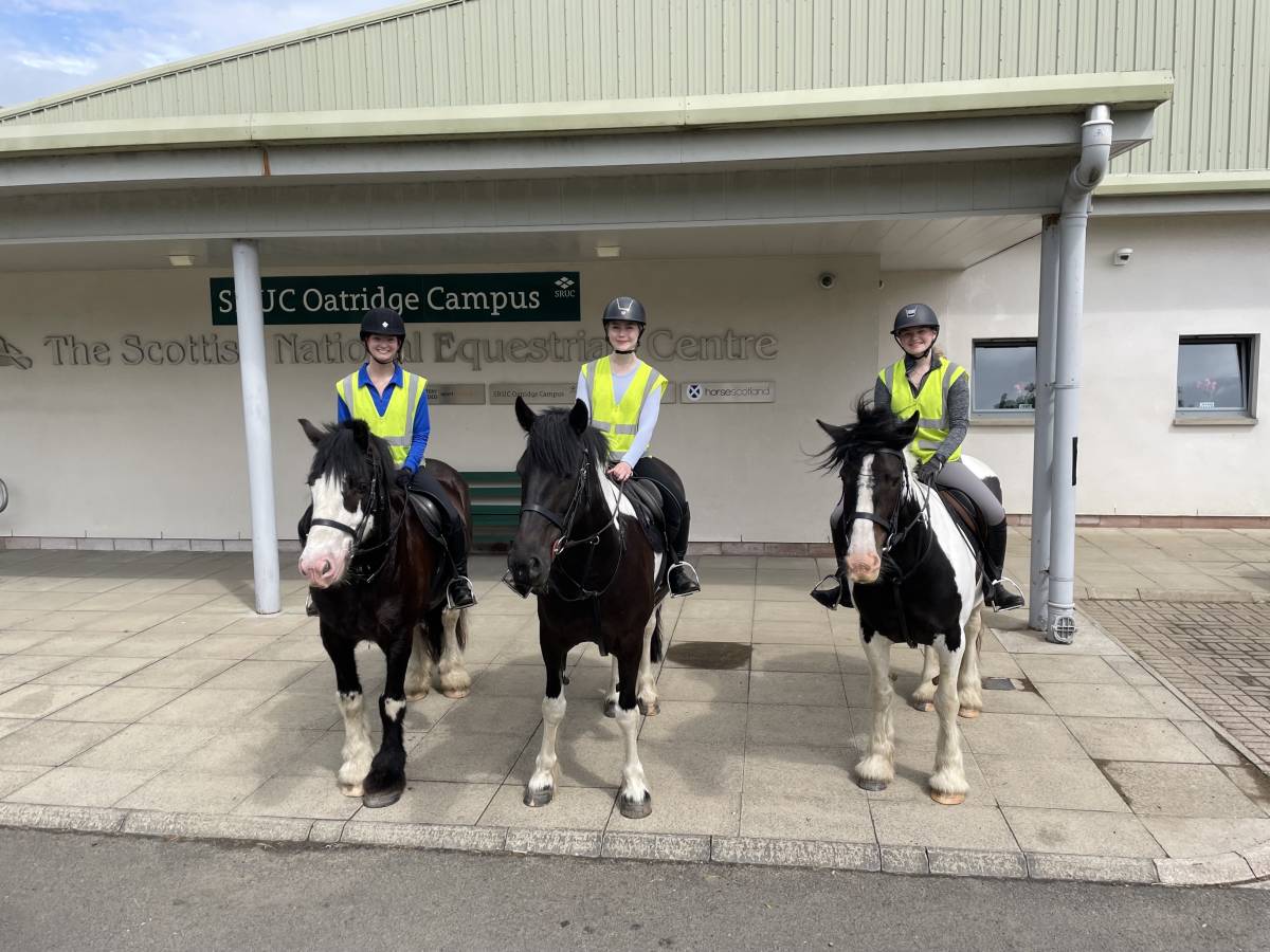 equine candidates on horseback