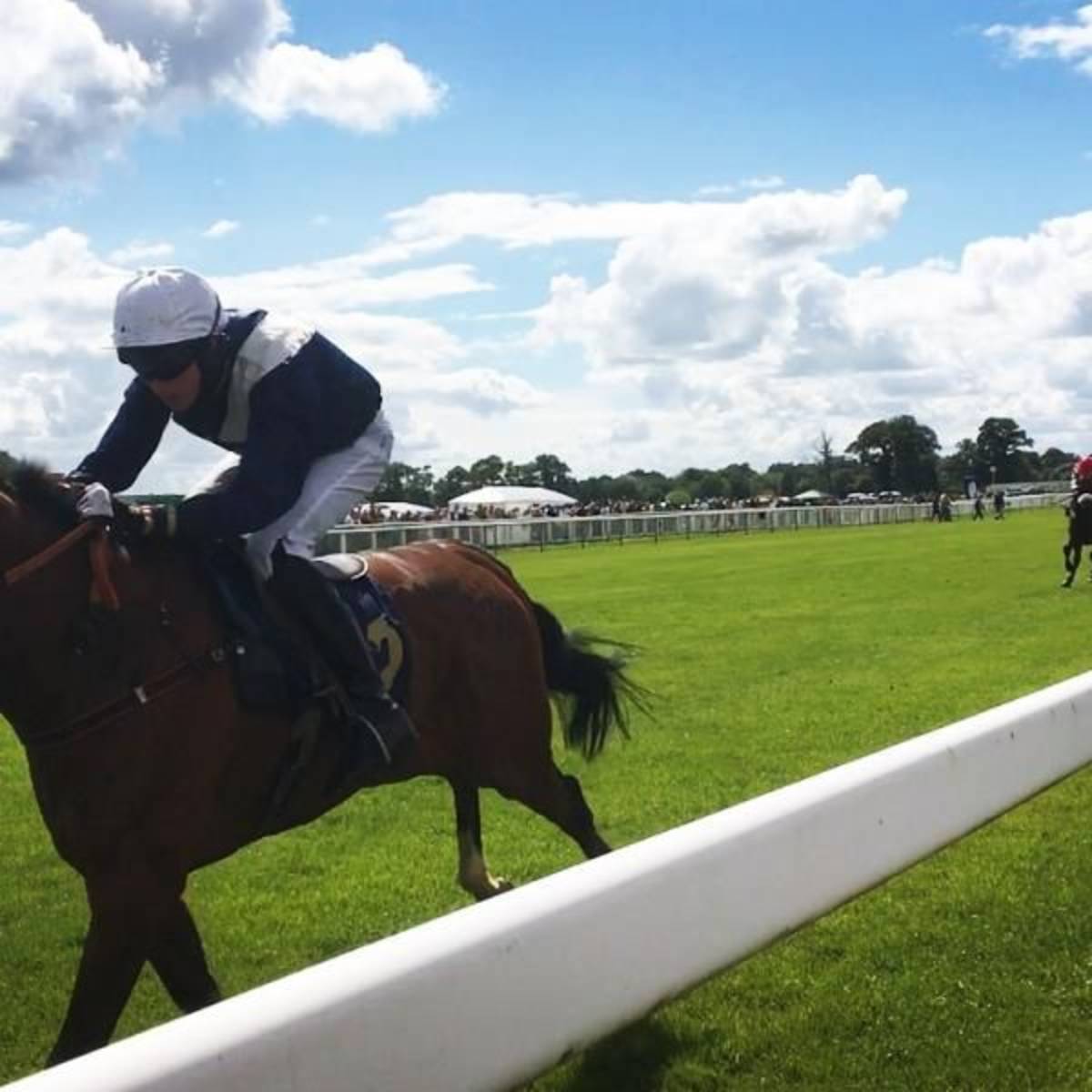 Equine Fitness - Study Abroad in Edinburgh - Adelante Abroad