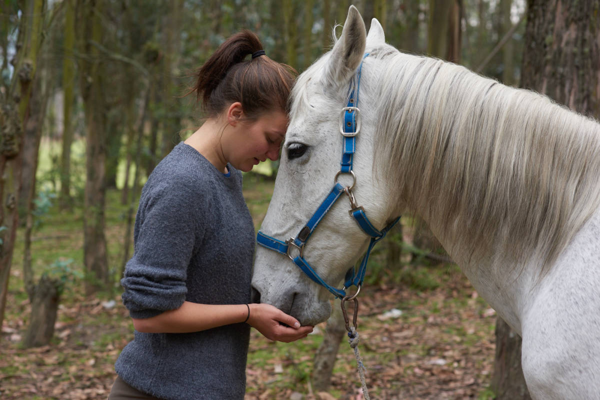 Equine Therapy in Ecuador