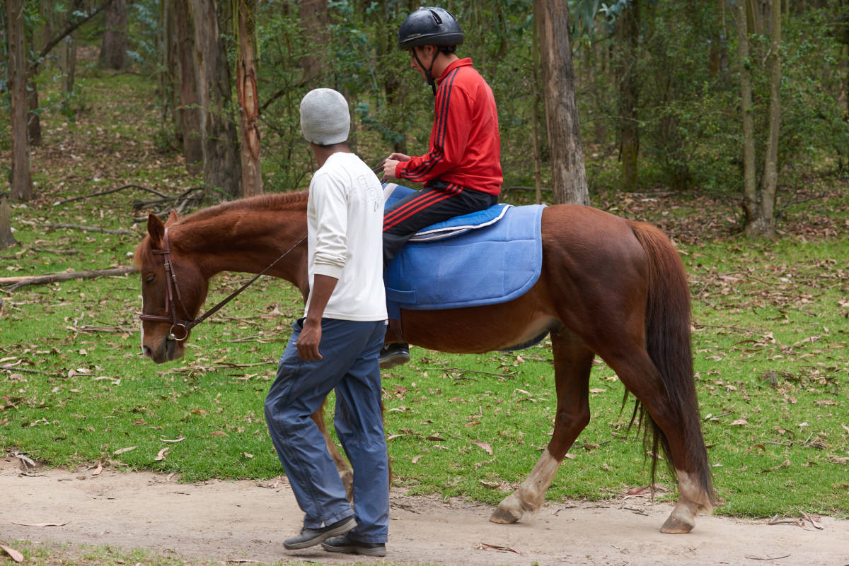 Equine Therapy in Ecuador