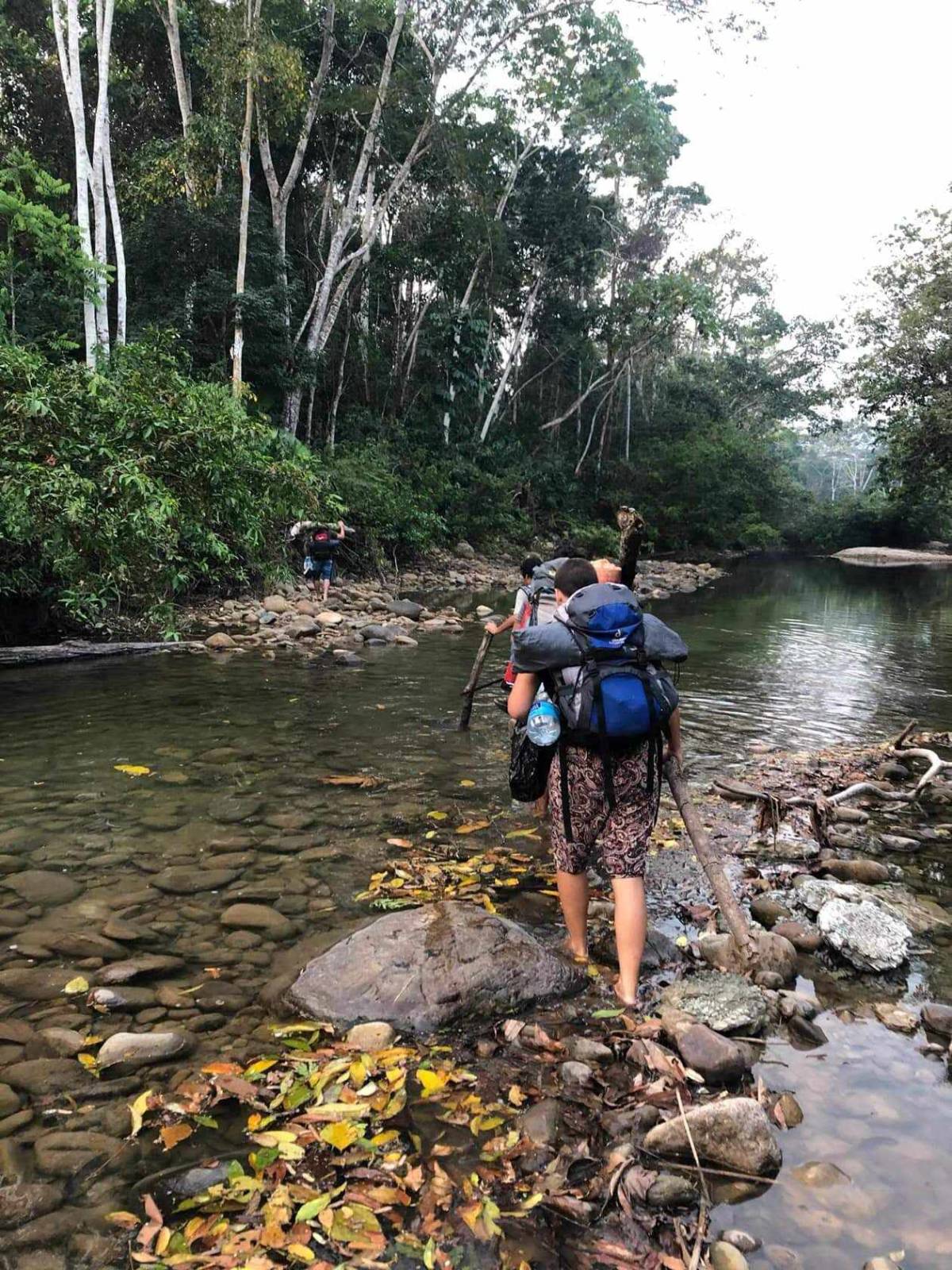 Exploring the Amazon Rainforest before camping.