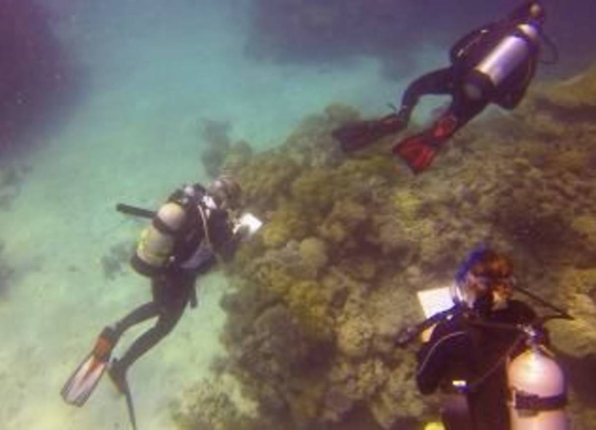 GoEco Australia - Great Barrier Reef Conservation