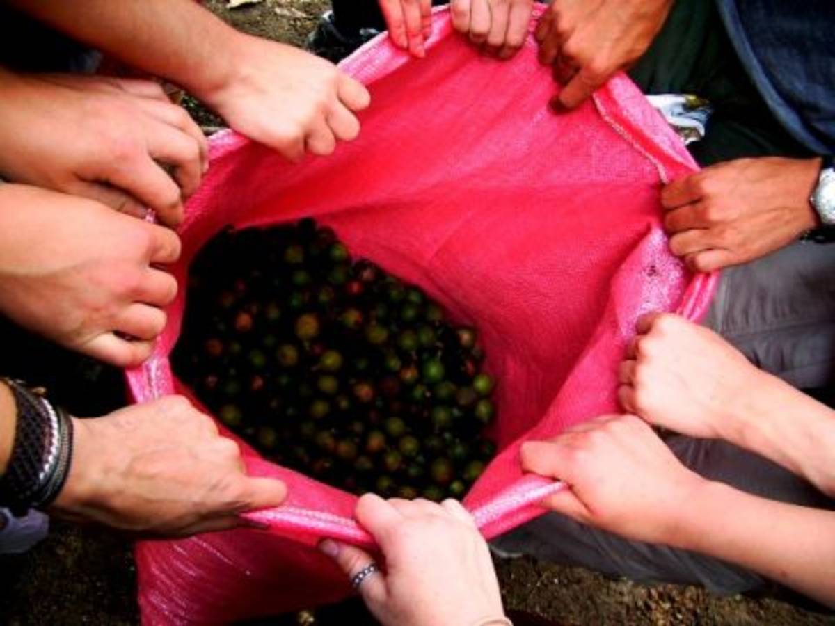 Guatemala: Spanish Language Intensive (Summer) — photo 6