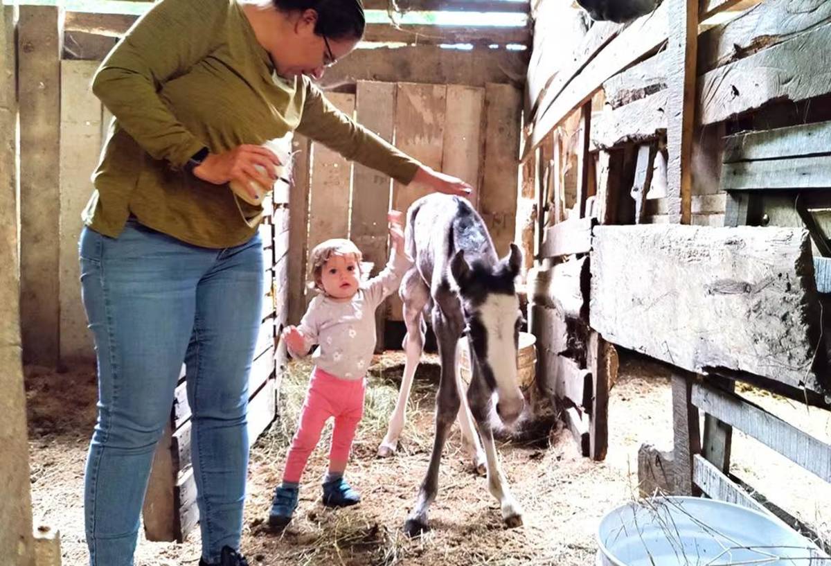 Family Caring for Animals in Costa Rica