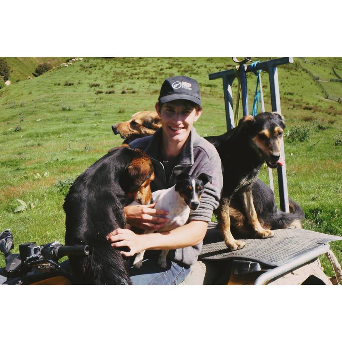 Farmstay Boy riding the quad bike with the sheep dogs