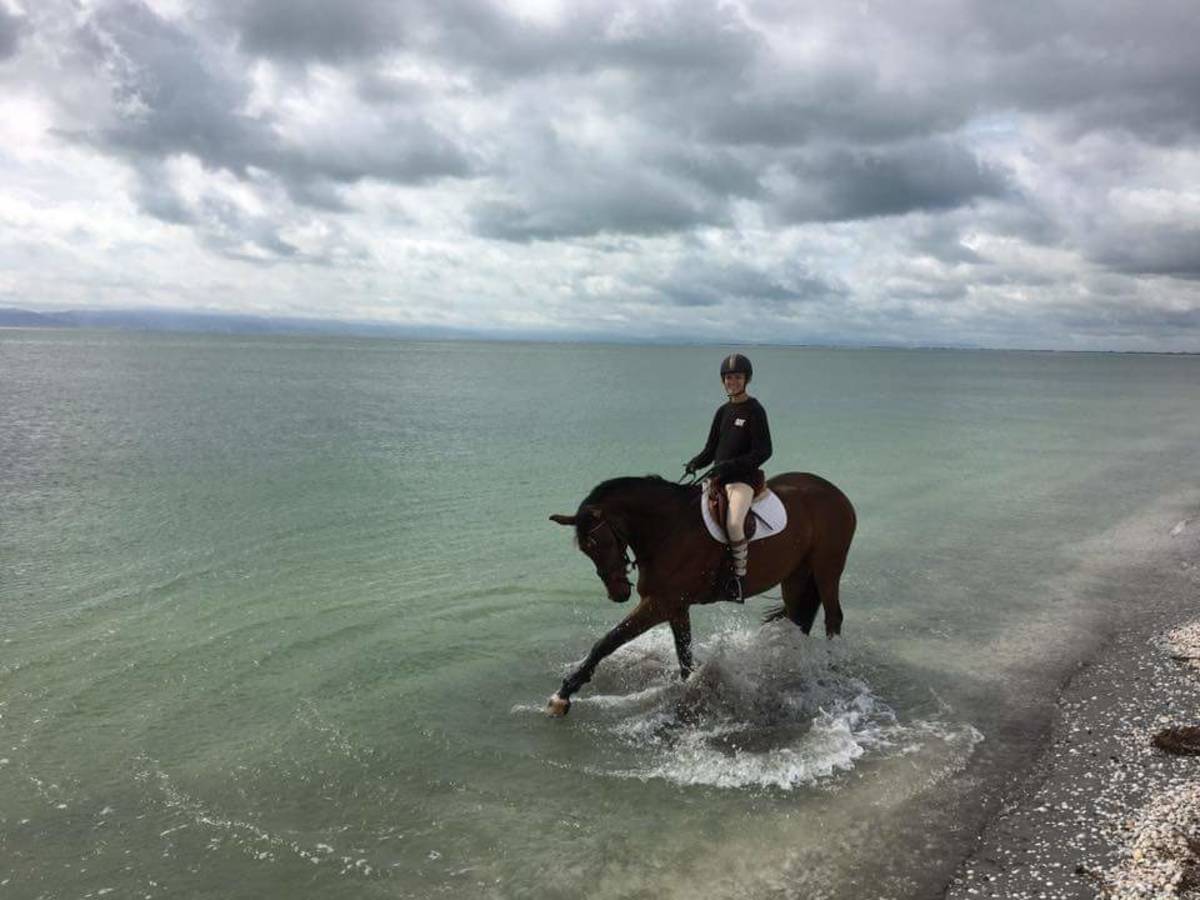 Farmstay girl taking a horse for a dip in the ocean.