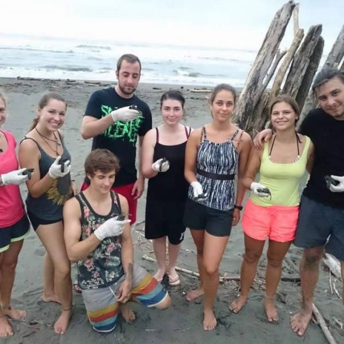 volunteering turtles costa rica