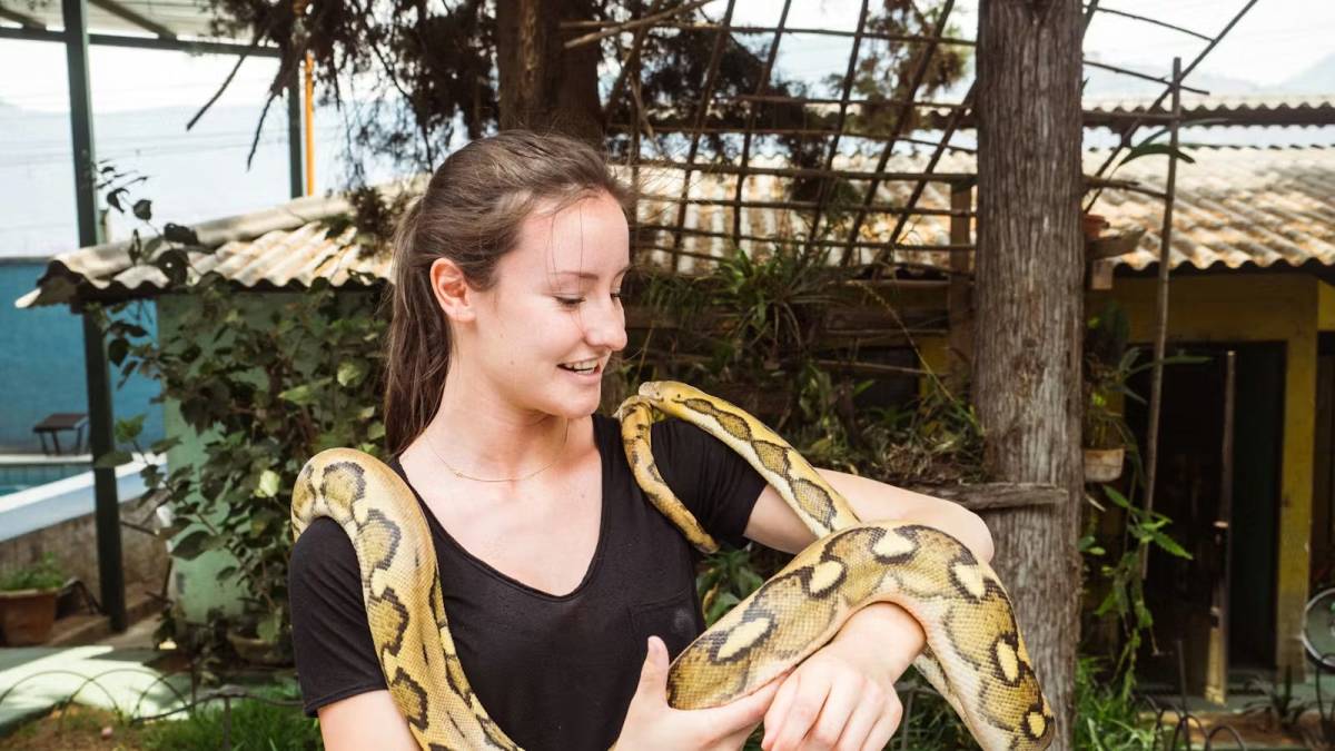 Female Volunteer Caring for a Snake in Guatemala