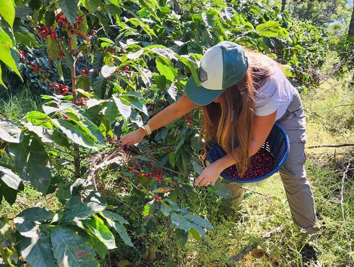 Female Volunteer Helping with Agriculture in Guatemala