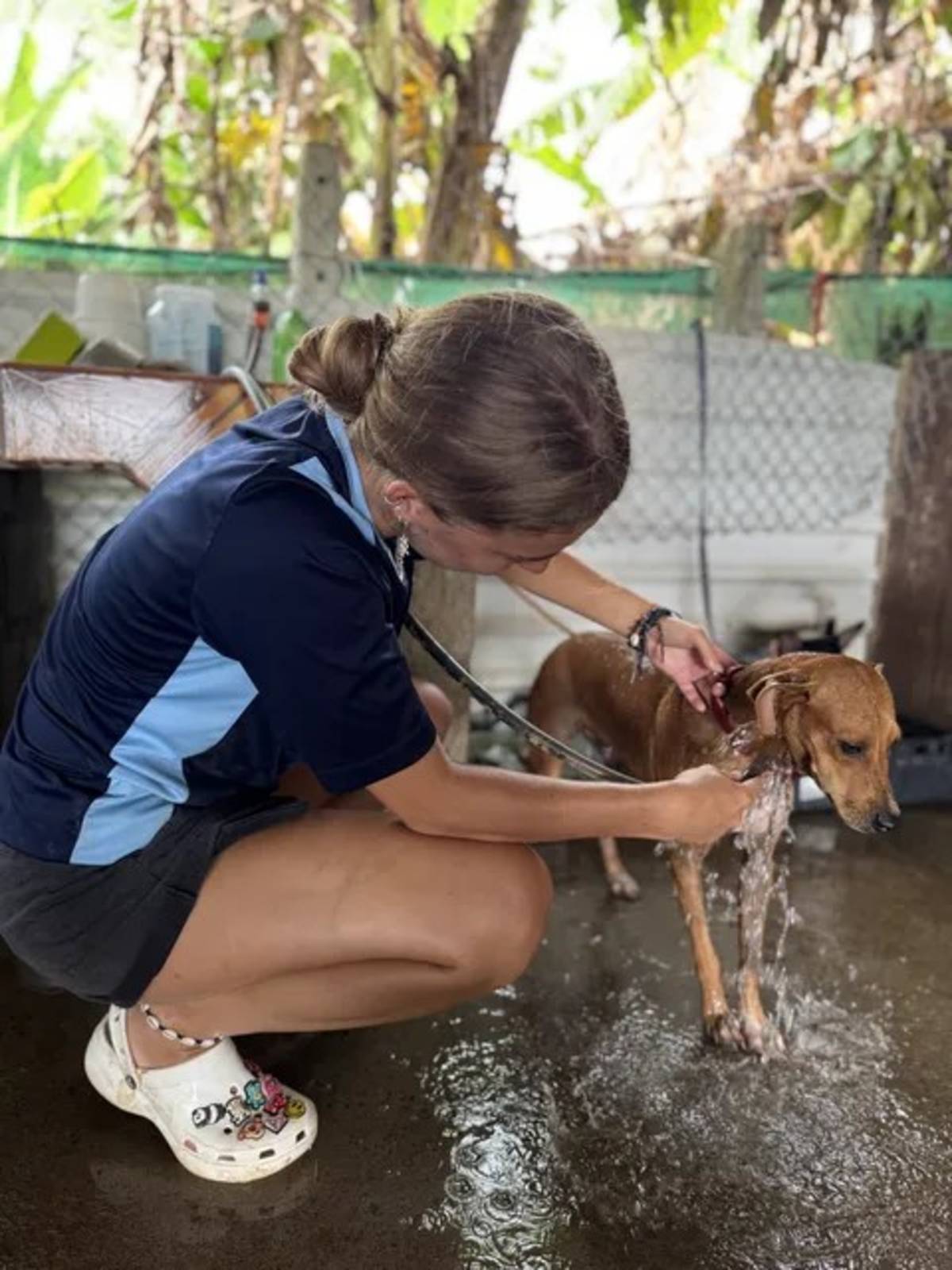 Female Volunteer using a Stethoscope to check on a Dog