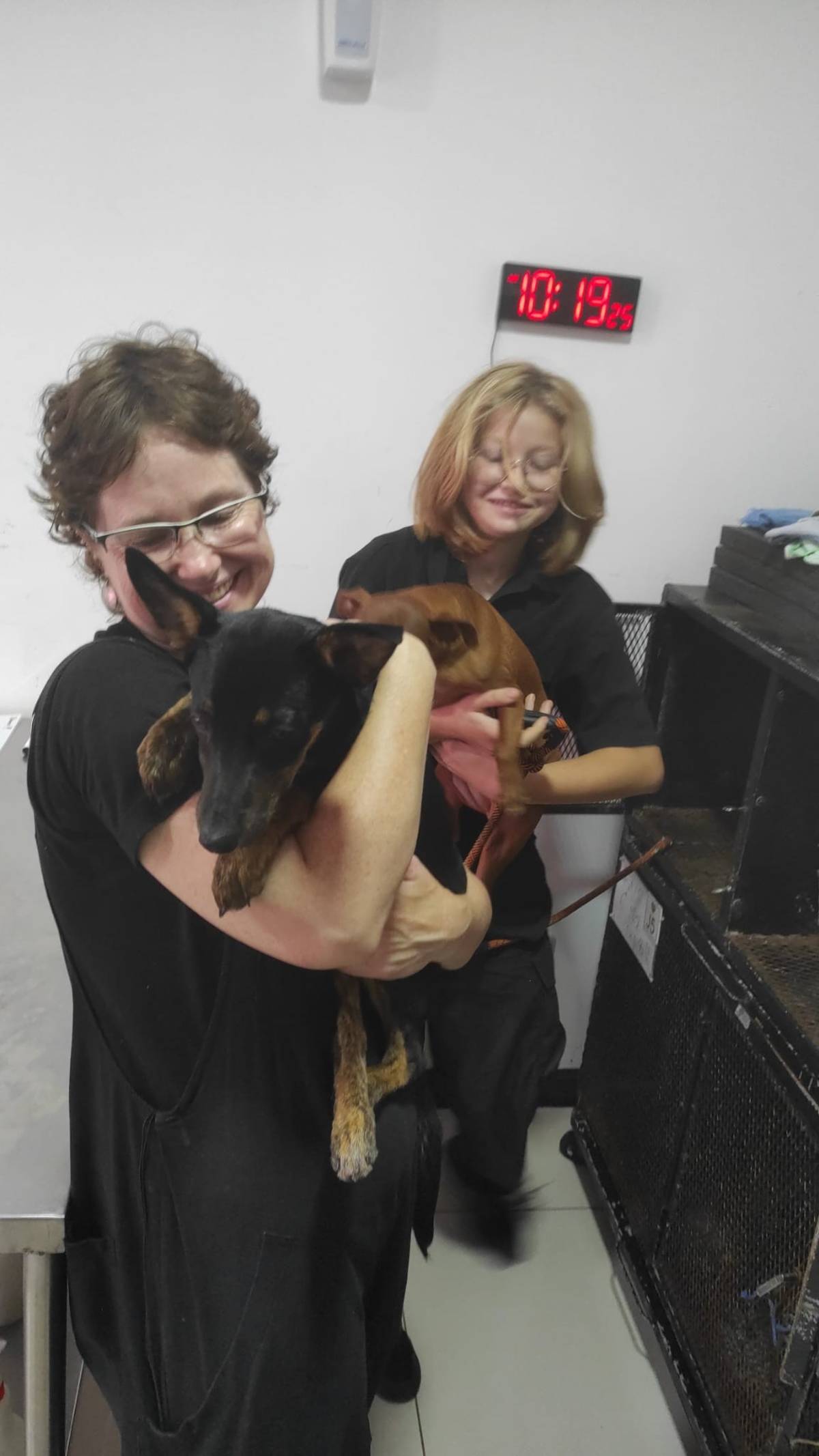 Female Volunteers Caring for Puppies