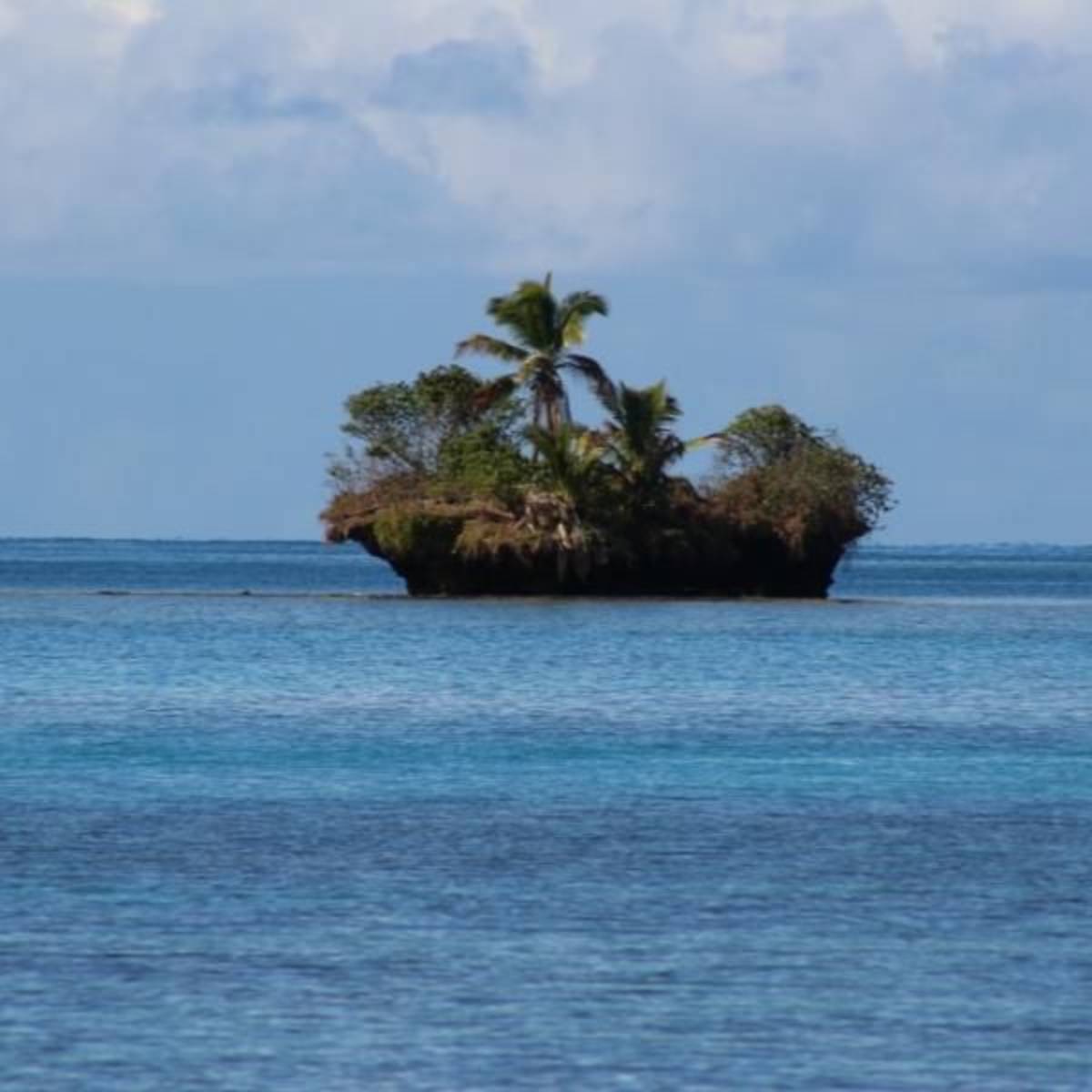 GoEco Fiji - Diving and Marine Conservation Expedition