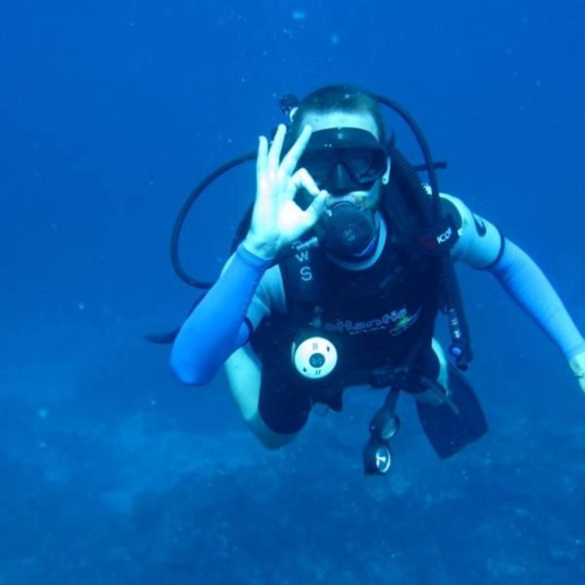 GoEco Fiji - Diving and Marine Conservation Expedition