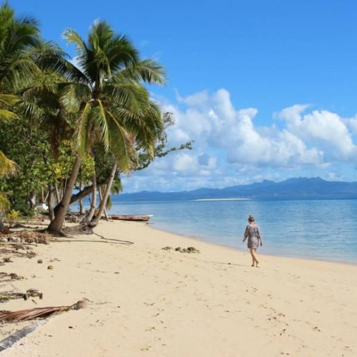 GoEco Fiji - Diving and Marine Conservation Expedition