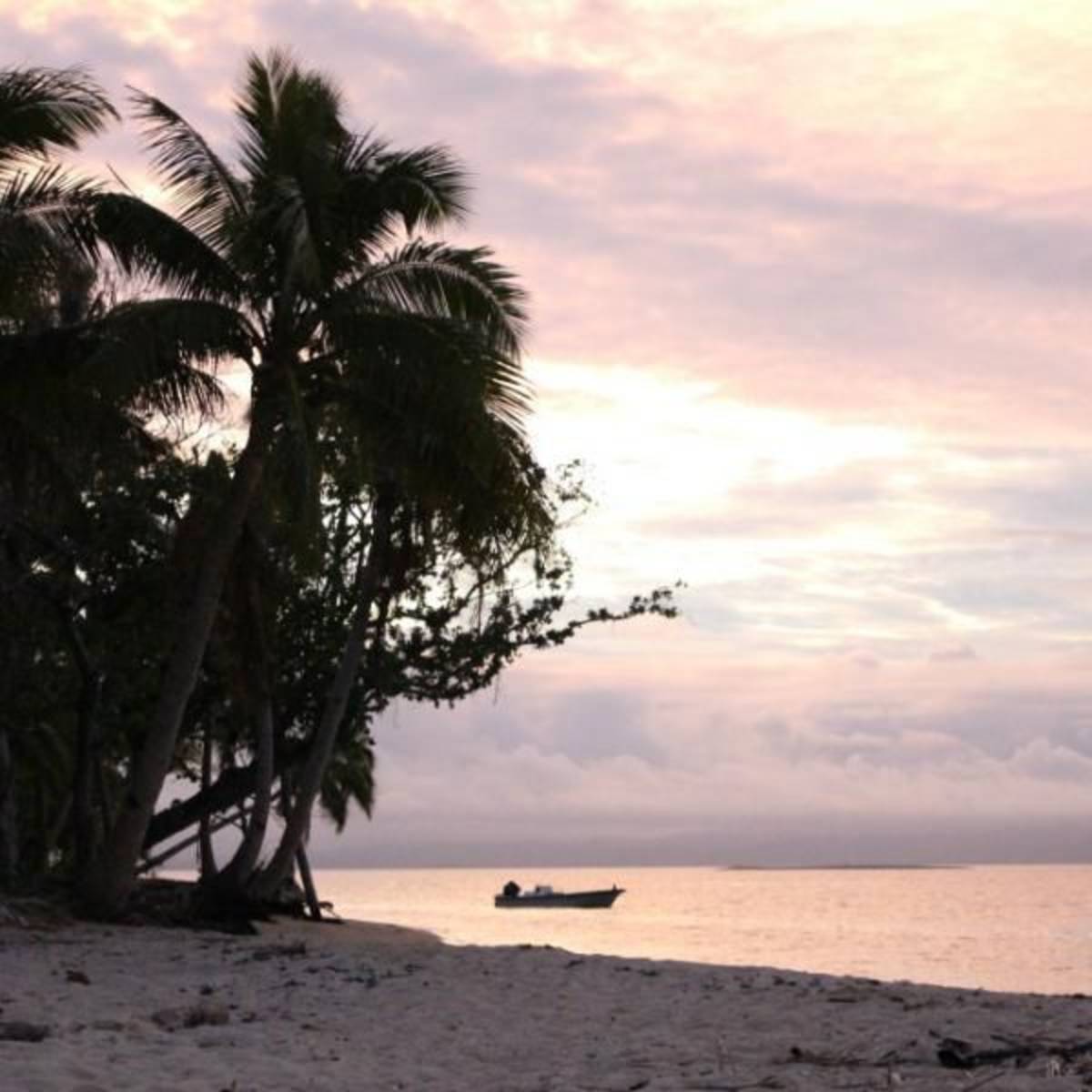 GoEco Fiji - Diving and Marine Conservation Expedition