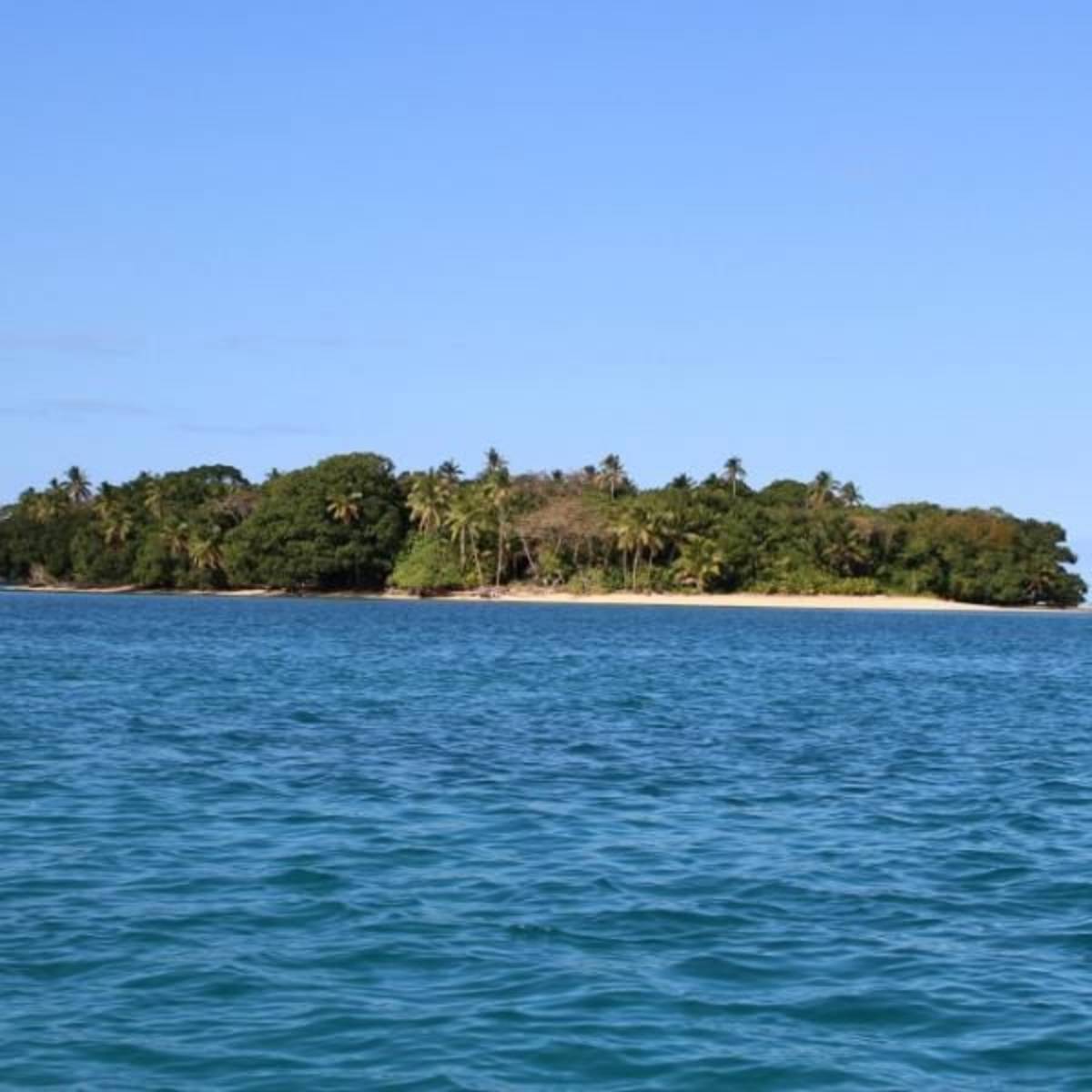 GoEco Fiji - Diving and Marine Conservation Expedition