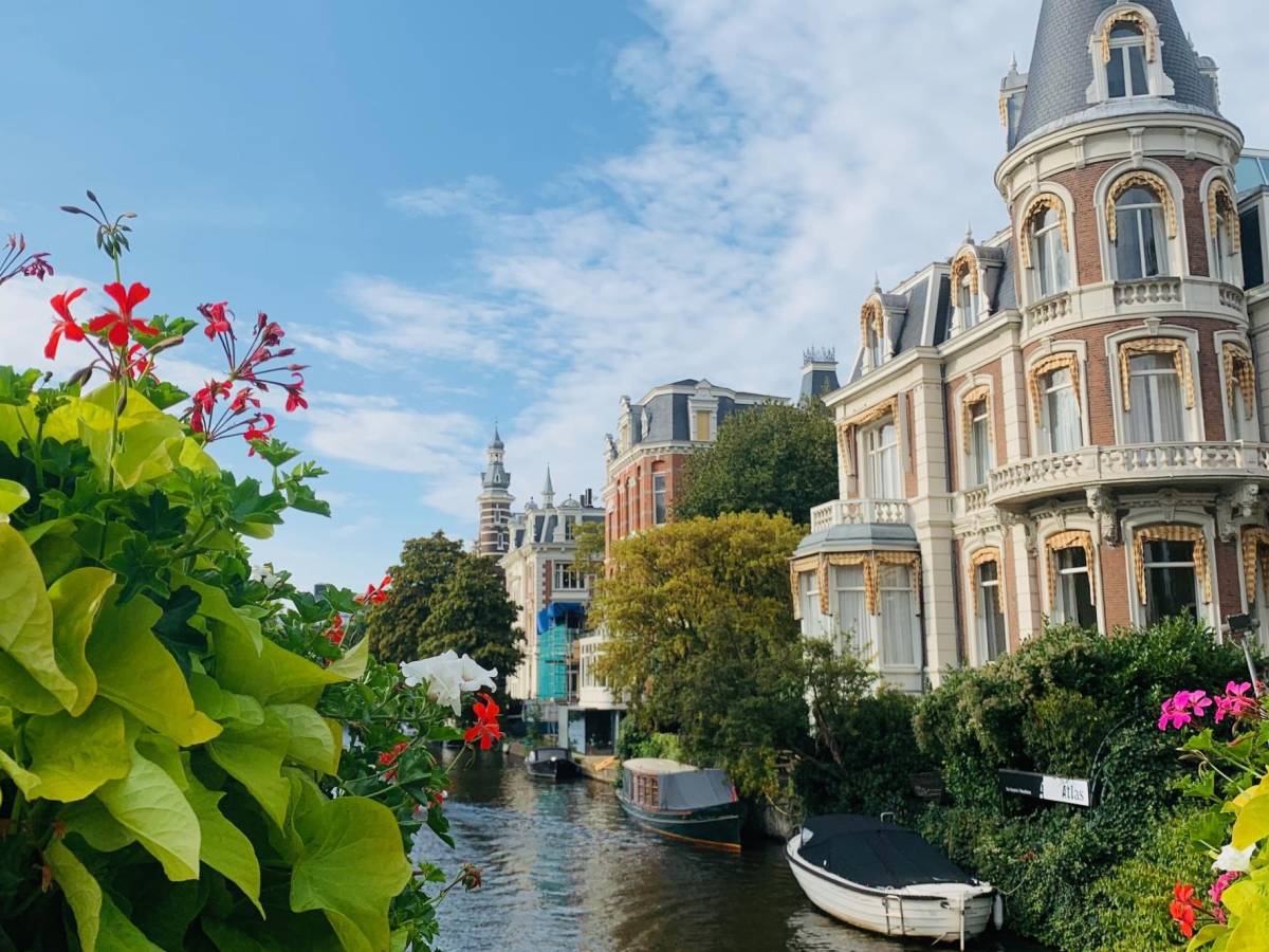 Flowers next to a canal in Amsterdam.