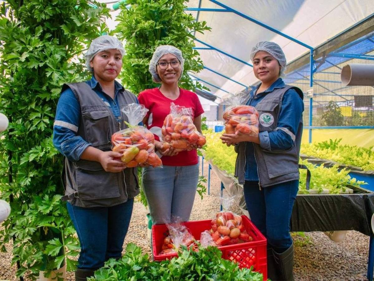 Food Bank in Cochabamba, Bolivia