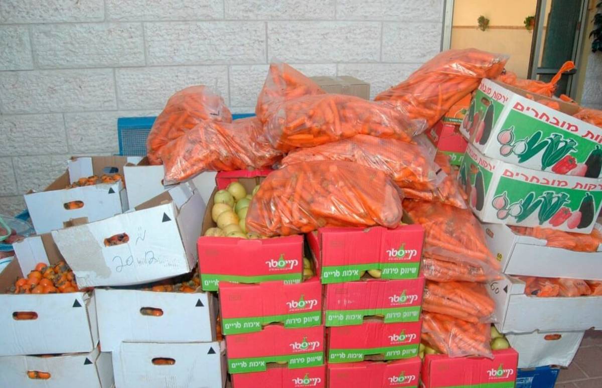boxes of vegetables