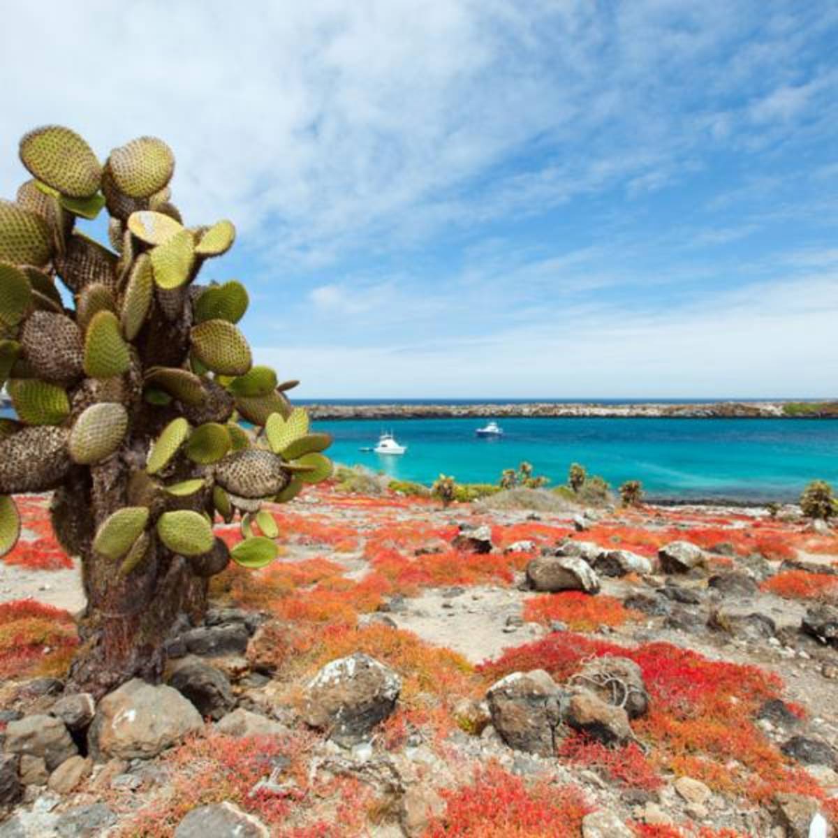 AIFS Study Abroad in the Galapagos, Ecuador: January Term — photo 1
