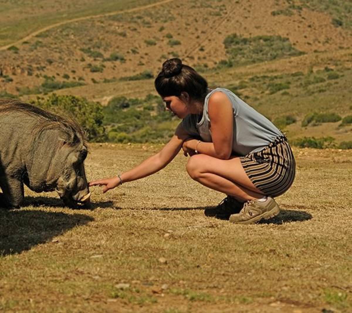 Caring for animals 