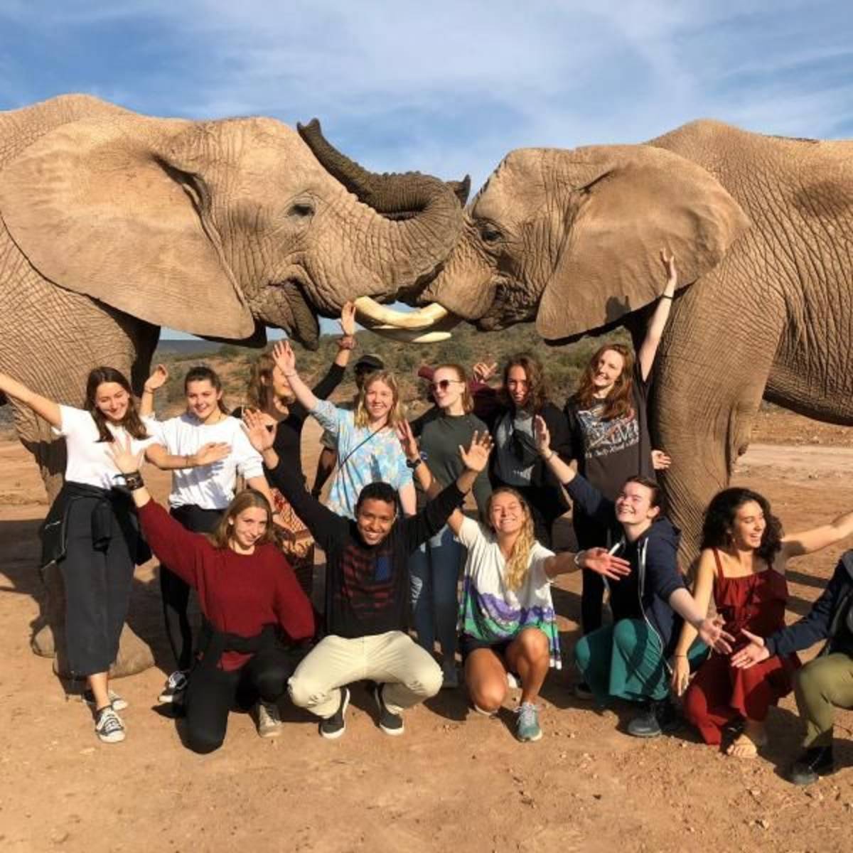 Content Writing Internship South Africa