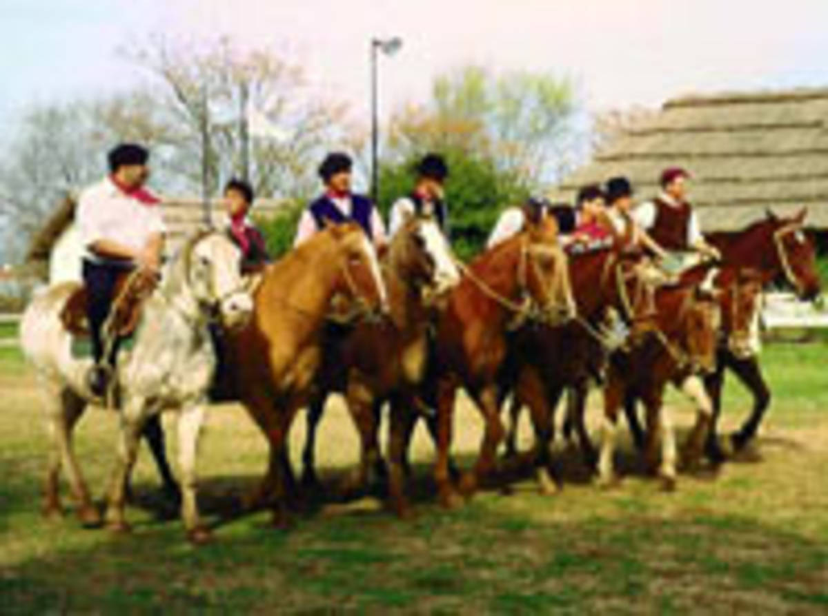 Medicine Internships with Spanish in Argentina for Teenager — photo 1