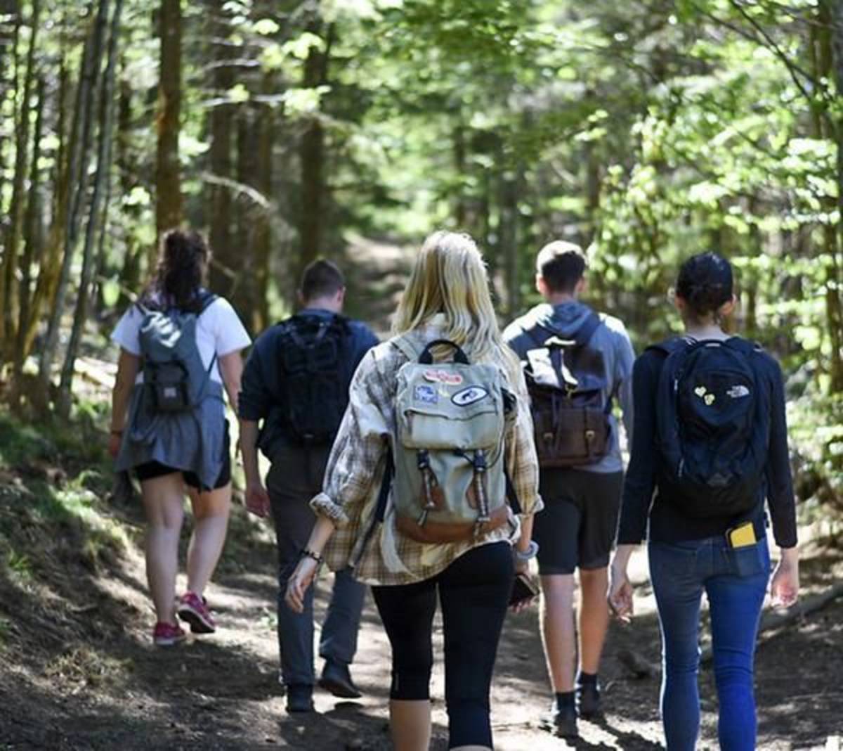 Students Walking in a Forest in Germany