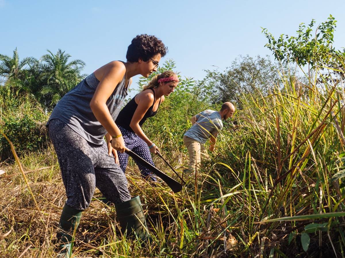 ghana agriculture