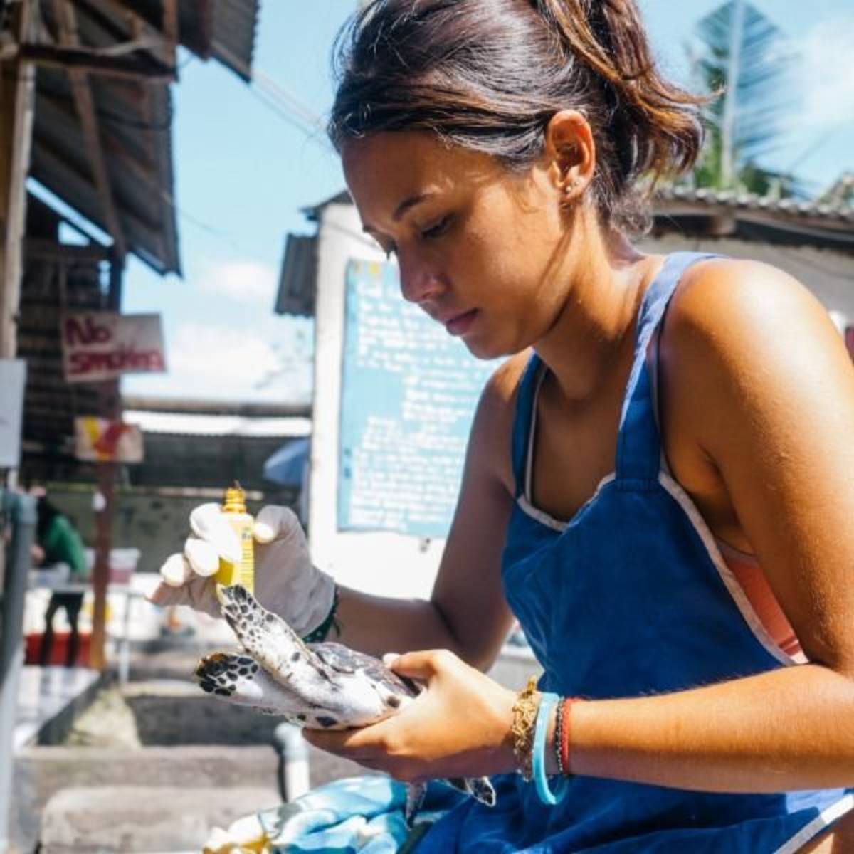 volunteer work In Bali on the Turtle Conservation project