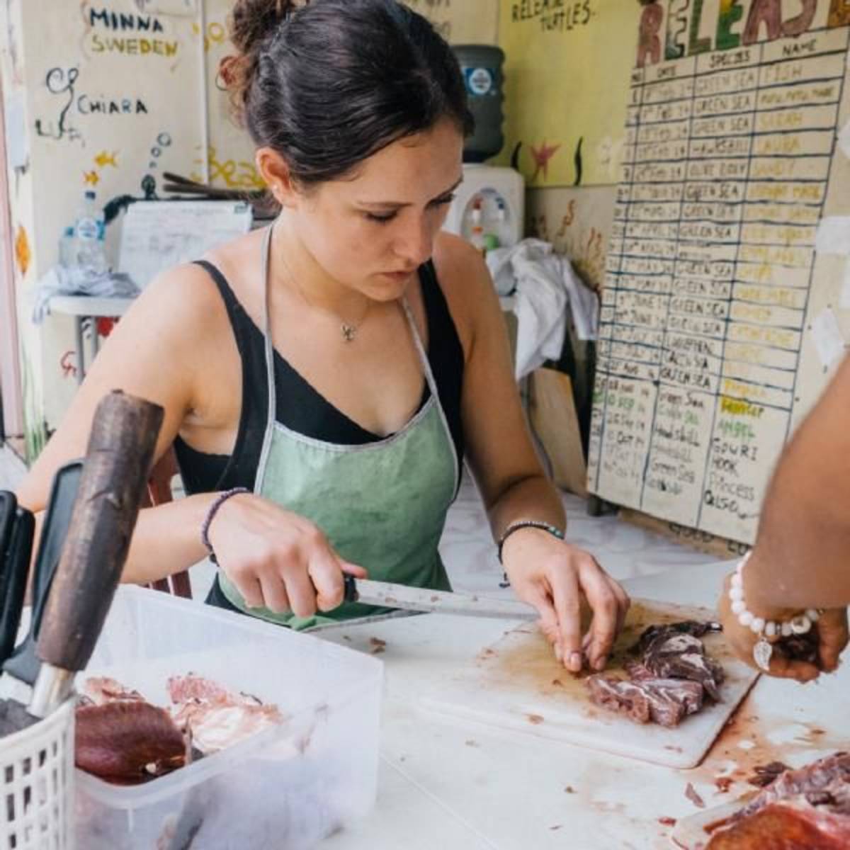A volunteer In Bali on Turtle Conservation project