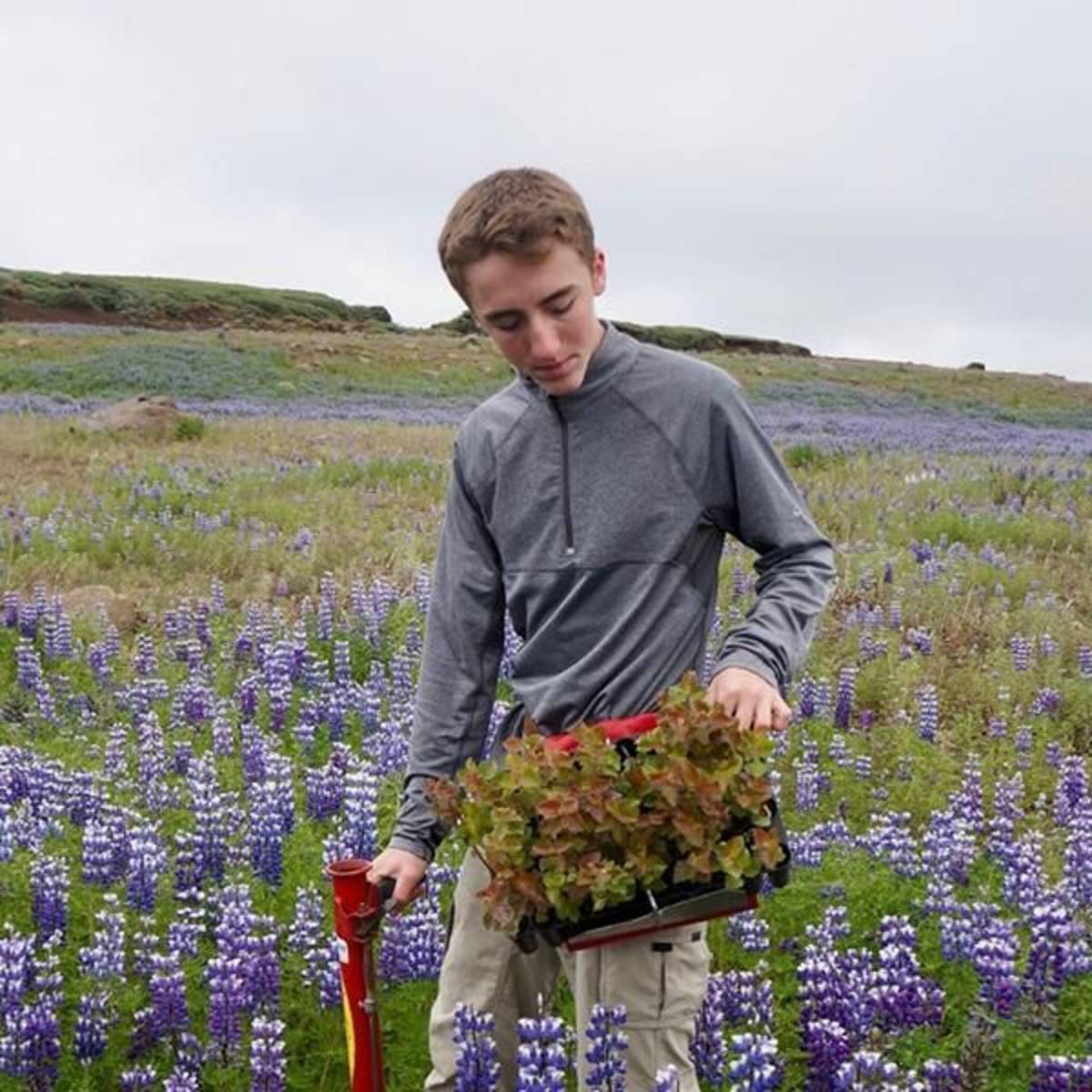 GoBeyond-Community-Service-Program-Iceland-4