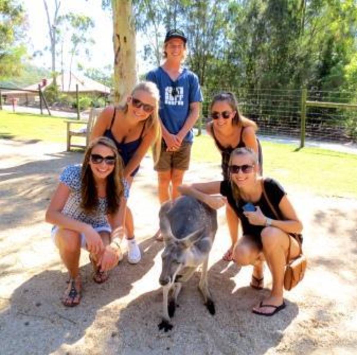 USAC Australia: Gold Coast/Brisbane - Undergraduate Courses — photo 3