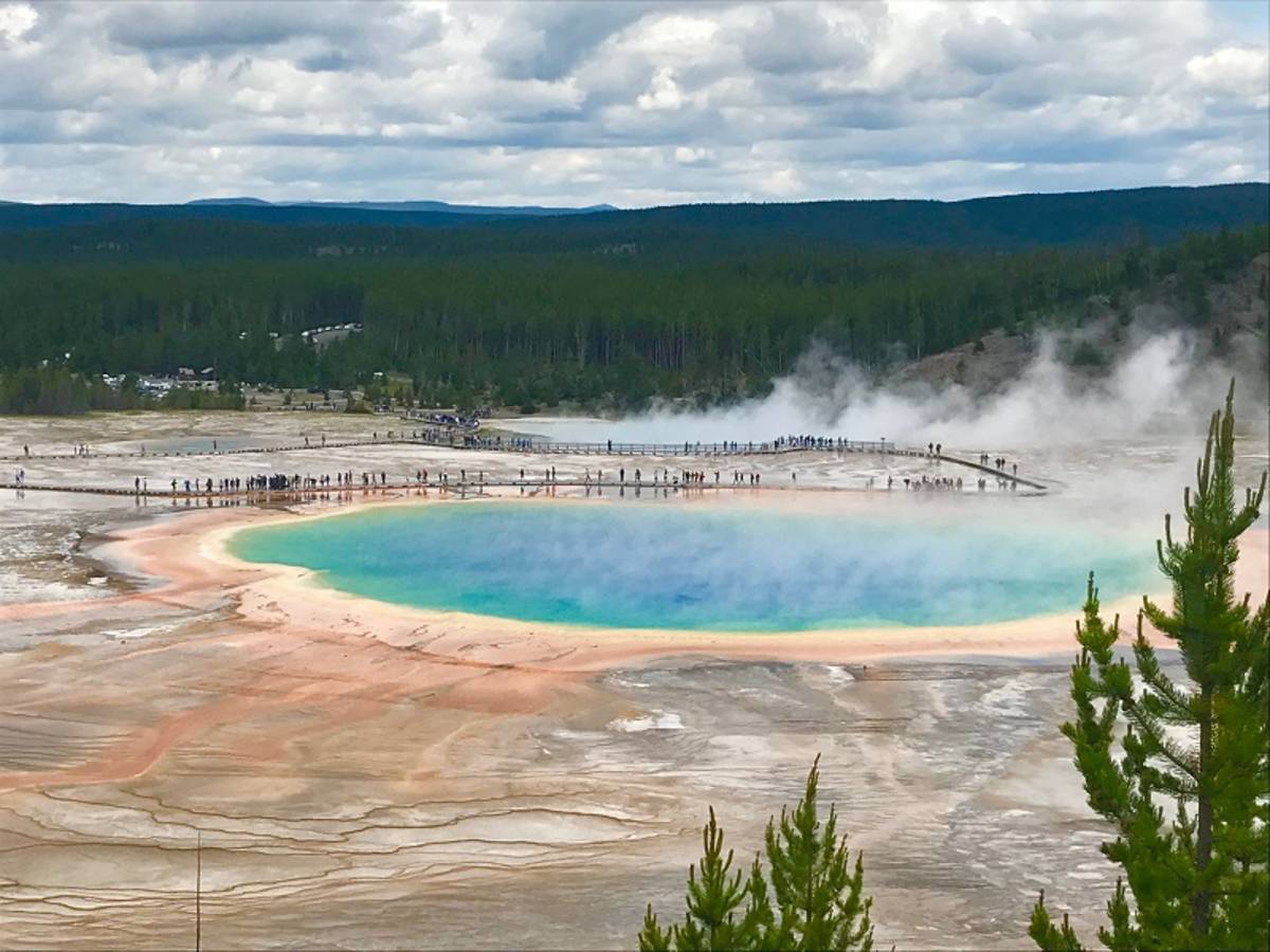 Grand Prismatic Spring in Yellowstone