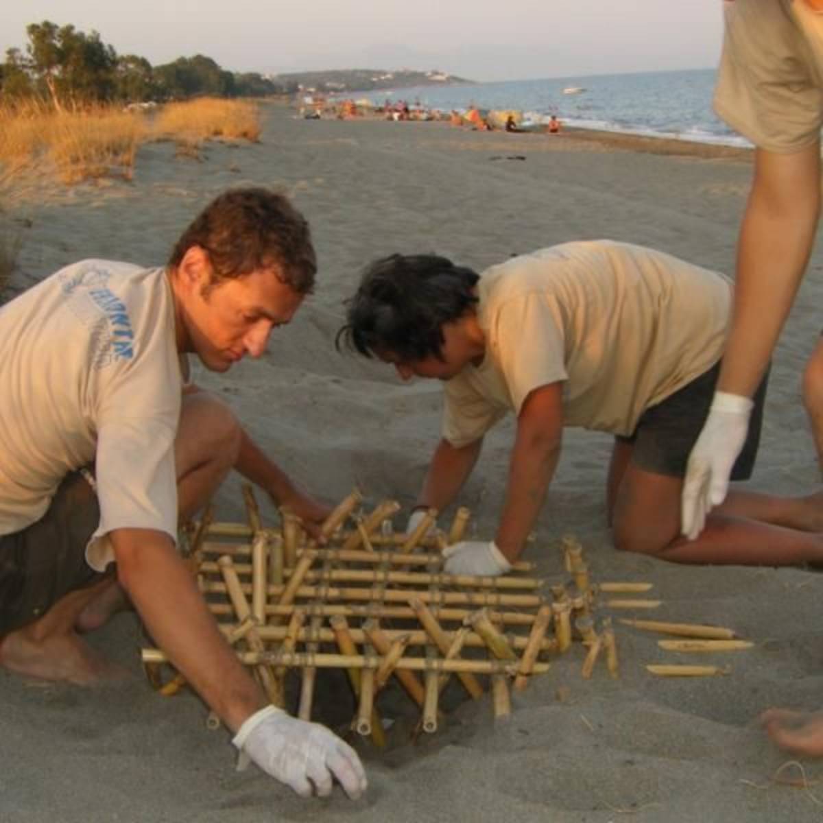 GoEco Greece - Sea Turtle Conservation