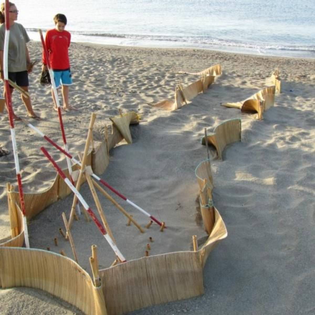 GoEco Greece - Sea Turtle Conservation