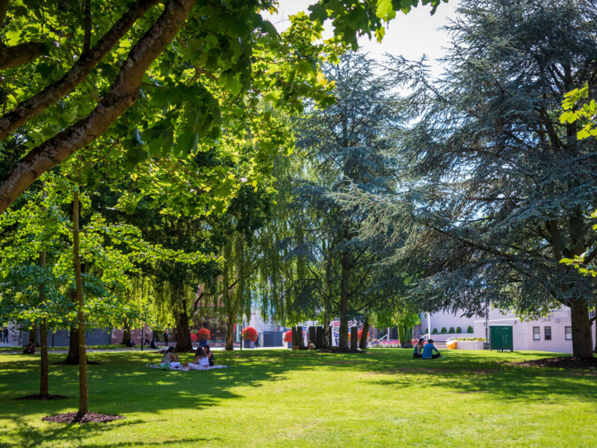Greenery on Warwick campus